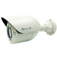 H.264 3MP CAMERA; indoor/outdoor, day/night, built in IR, 3.6 mm lens